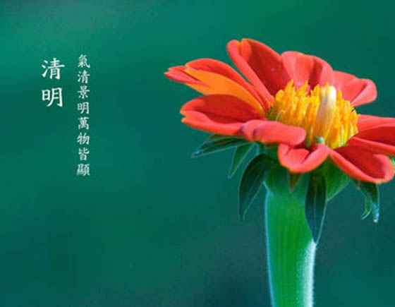 ̤���ʱ�ڣ����������������ڷż�֪ͨ����